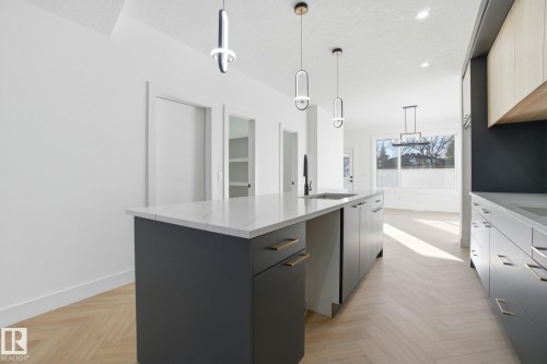 10124 82 Street, Edmonton, AB - Indoor Photo Showing Kitchen With Upgraded Kitchen