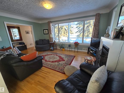 11303 113A Avenue Nw, Edmonton, AB - Indoor Photo Showing Living Room