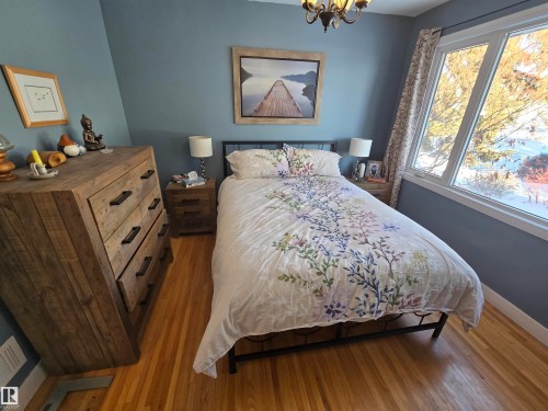 11303 113A Avenue Nw, Edmonton, AB - Indoor Photo Showing Bedroom