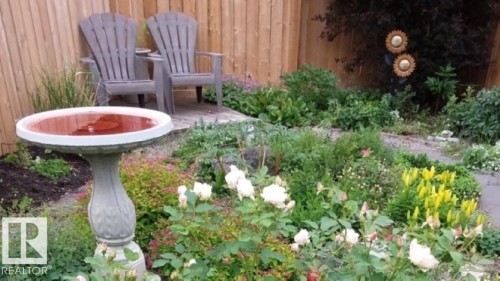 11303 113A Avenue Nw, Edmonton, AB - Outdoor