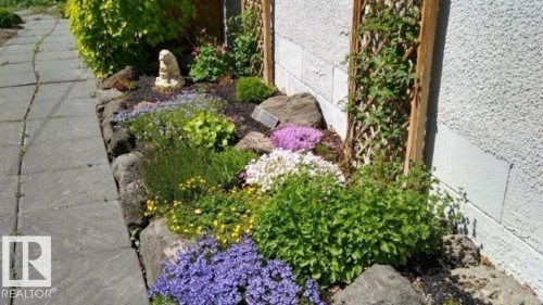 11303 113A Avenue Nw, Edmonton, AB - Outdoor