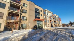 226 12804 140 Avenue  Edmonton, AB T6V 1K4