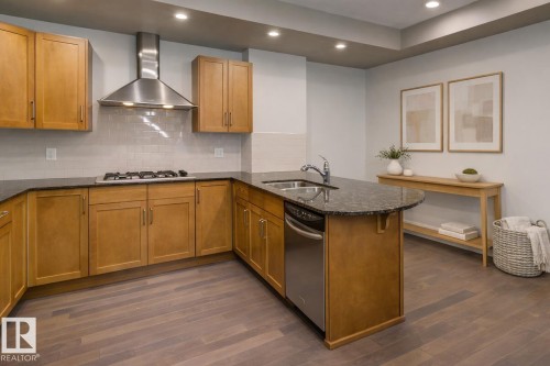 205 9316 82 Avenue, Edmonton, AB - Indoor Photo Showing Kitchen With Double Sink