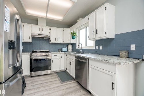 6012 187 Street, Edmonton, AB - Indoor Photo Showing Kitchen With Double Sink With Upgraded Kitchen