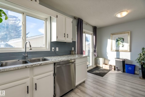 6012 187 Street, Edmonton, AB - Indoor Photo Showing Kitchen With Double Sink
