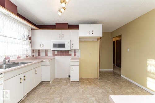 10207 165 Avenue, Edmonton, AB - Indoor Photo Showing Kitchen With Double Sink