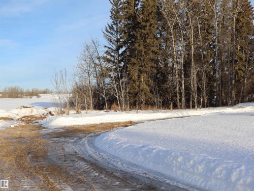 4526 Twp. Rd. 602A, Rural Barrhead County, AB - Outdoor With View