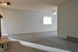 Empty room with a ceiling fan, carpet, and a textured ceiling - 