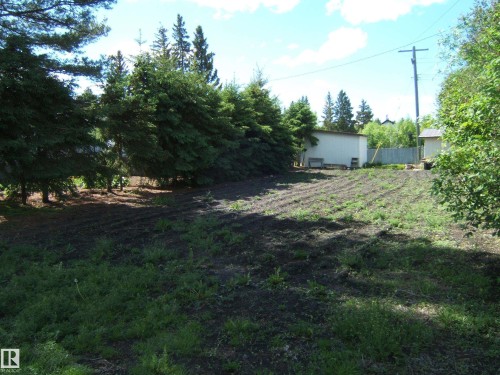 Expansive cleared lot with mature evergreens providing a natural border - 4910 53 Avenue, Willingdon, AB 