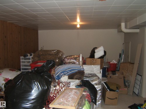 Basement with wooden walls - 4910 53 Avenue, Willingdon, AB 