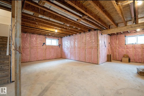 5820 110 Street, Edmonton, AB - Indoor Photo Showing Basement