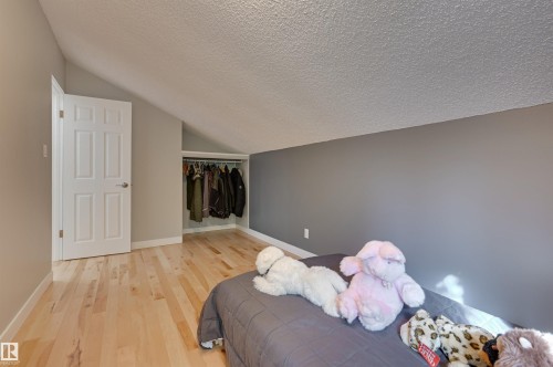 17623 53 Avenue, Edmonton, AB - Indoor Photo Showing Bedroom