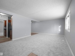 Unfurnished room with light carpet and a textured ceiling - 