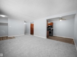 Unfurnished living room with dark carpet, ceiling fan, and a textured ceiling - 