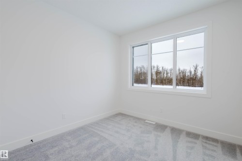 234 Edgemont Green Green, Edmonton, AB - Indoor Photo Showing Other Room