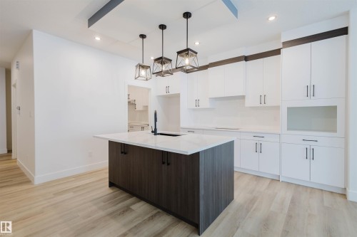 234 Edgemont Green Green, Edmonton, AB - Indoor Photo Showing Kitchen With Upgraded Kitchen