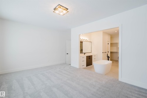 234 Edgemont Green Green, Edmonton, AB - Indoor Photo Showing Bathroom