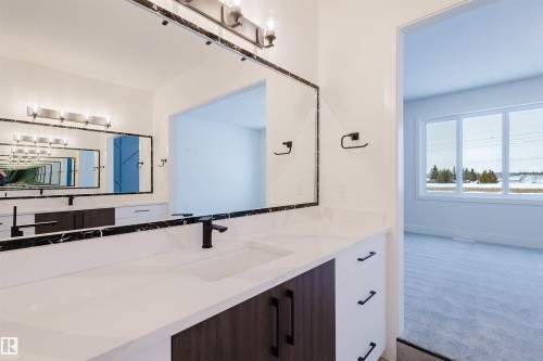 234 Edgemont Green Green, Edmonton, AB - Indoor Photo Showing Bathroom
