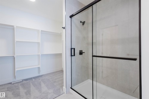 234 Edgemont Green Green, Edmonton, AB - Indoor Photo Showing Bathroom