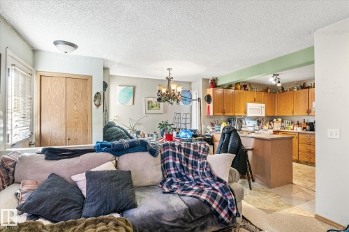 15035 133 Street, Edmonton, AB - Indoor Photo Showing Living Room
