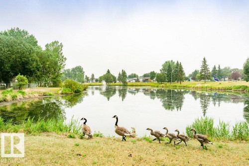 Water view - 216 53222 Rge Rd 272, Rural Parkland County, AB - Outdoor With Body Of Water With View