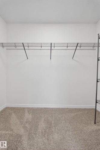 Walk in closet with carpet flooring - 1741 63A Street, Edmonton, AB - Indoor With Storage
