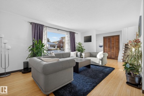 11508 35A Avenue, Edmonton, AB - Indoor Photo Showing Living Room
