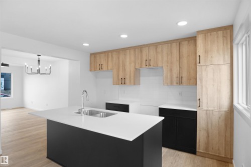 2119 210 Street, Edmonton, AB - Indoor Photo Showing Kitchen With Double Sink
