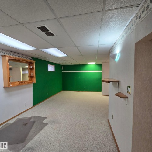 10966 158 Street, Edmonton, AB - Indoor Photo Showing Basement
