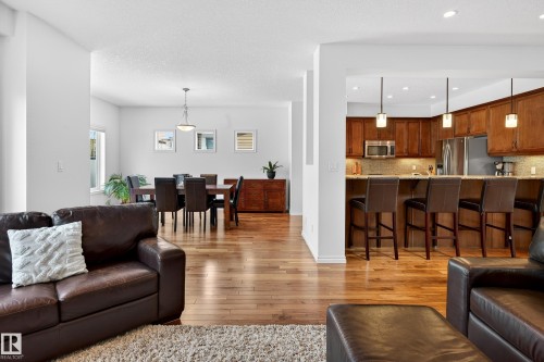 20016 130 Avenue, Edmonton, AB - Indoor Photo Showing Living Room