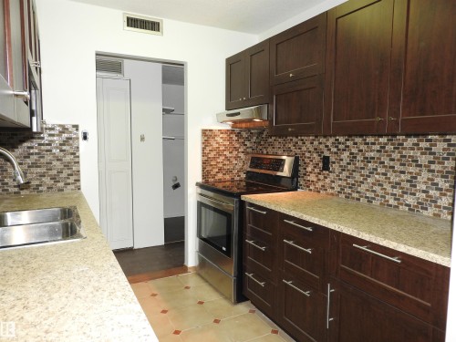 105 10160 115 Street, Edmonton, AB - Indoor Photo Showing Kitchen With Double Sink