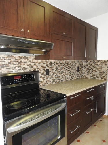 105 10160 115 Street, Edmonton, AB - Indoor Photo Showing Kitchen