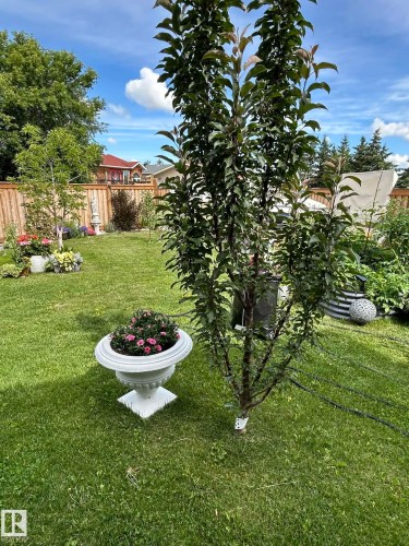 64 Maple Crescent, Gibbons, AB - Outdoor