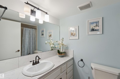 305 8707 107 Street, Edmonton, AB - Indoor Photo Showing Bathroom