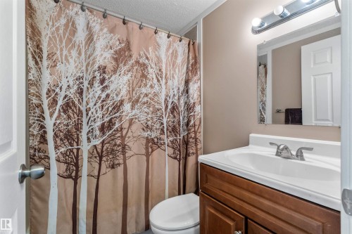 482 53222 Rge Rd 272, Rural Parkland County, AB - Indoor Photo Showing Bathroom