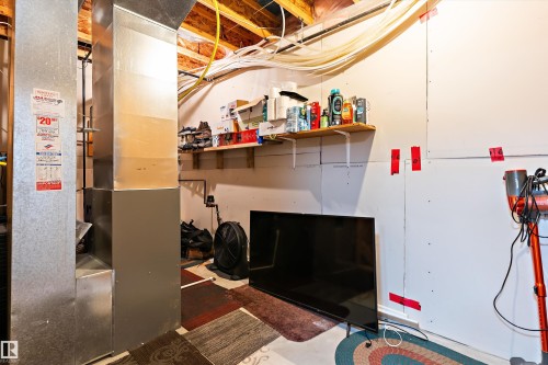 22 16003 132 Street, Edmonton, AB - Indoor Photo Showing Basement
