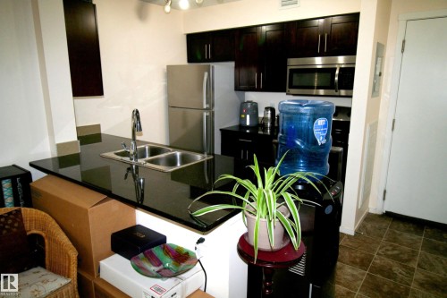 419 5816 Mullen Place, Edmonton, AB - Indoor Photo Showing Kitchen With Double Sink