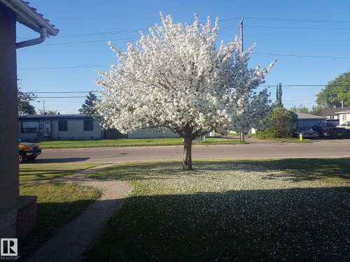 7424 128 Avenue, Edmonton, AB - Outdoor