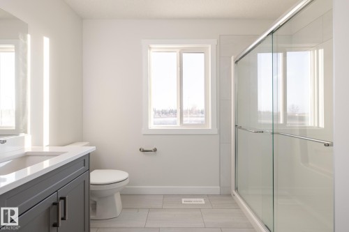 4020 207 Street, Edmonton, AB - Indoor Photo Showing Bathroom