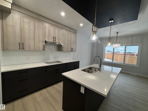 2137 209A Street Nw, Edmonton, AB - Indoor Photo Showing Kitchen With Double Sink