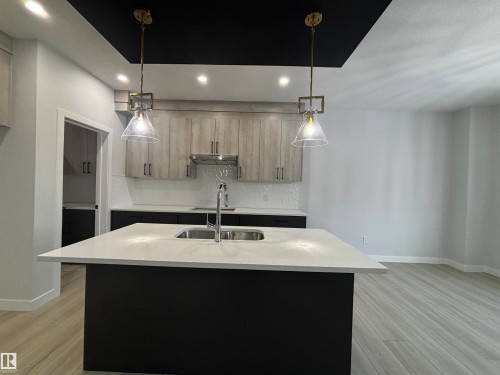 2137 209A Street Nw, Edmonton, AB - Indoor Photo Showing Kitchen With Double Sink