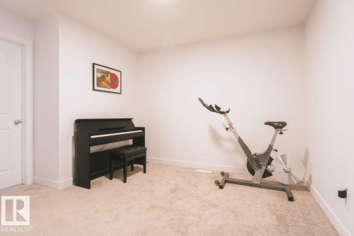 3732 214 Street, Edmonton, AB - Indoor Photo Showing Gym Room