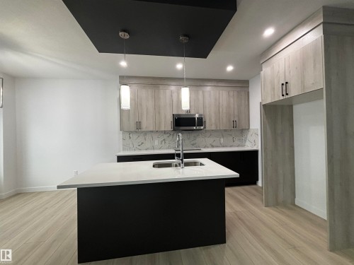 2028 210 Street Nw, Edmonton, AB - Indoor Photo Showing Kitchen With Double Sink