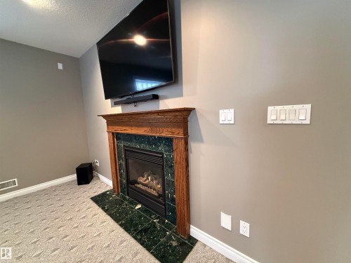 17 925 Picard Drive, Edmonton, AB - Indoor Photo Showing Living Room With Fireplace