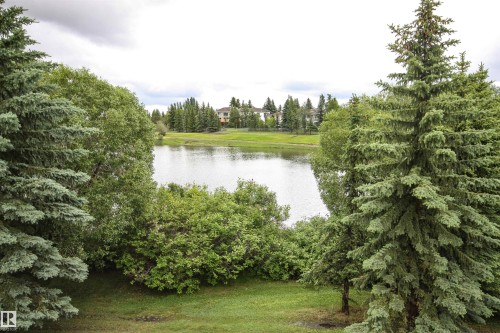 17 925 Picard Drive, Edmonton, AB - Outdoor With View