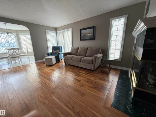 17 925 Picard Drive, Edmonton, AB - Indoor Photo Showing Living Room