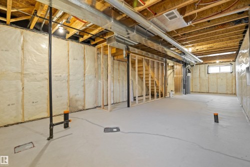 18851 29 Avenue, Edmonton, AB - Indoor Photo Showing Basement