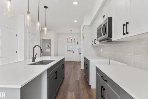20816 40 Avenue, Edmonton, AB - Indoor Photo Showing Kitchen With Double Sink With Upgraded Kitchen