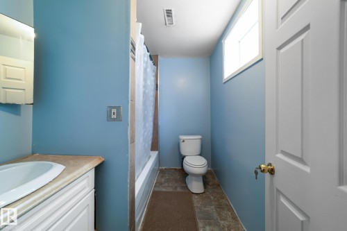 5037 54 Street, Daysland, AB - Indoor Photo Showing Bathroom