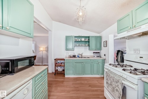 10928 92 Street, Edmonton, AB - Indoor Photo Showing Kitchen With Double Sink